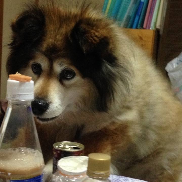 3f3c0d3c 8480 414d 8132 0b8b858f2680 1658649855568