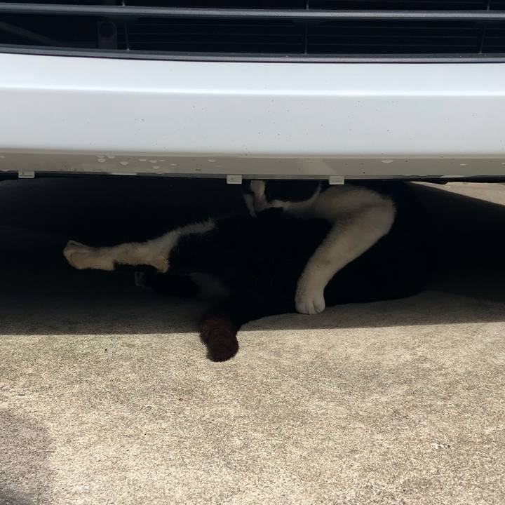 3f3c4b1e 44f0 4e23 9912 d55366c7f580 1565877784697