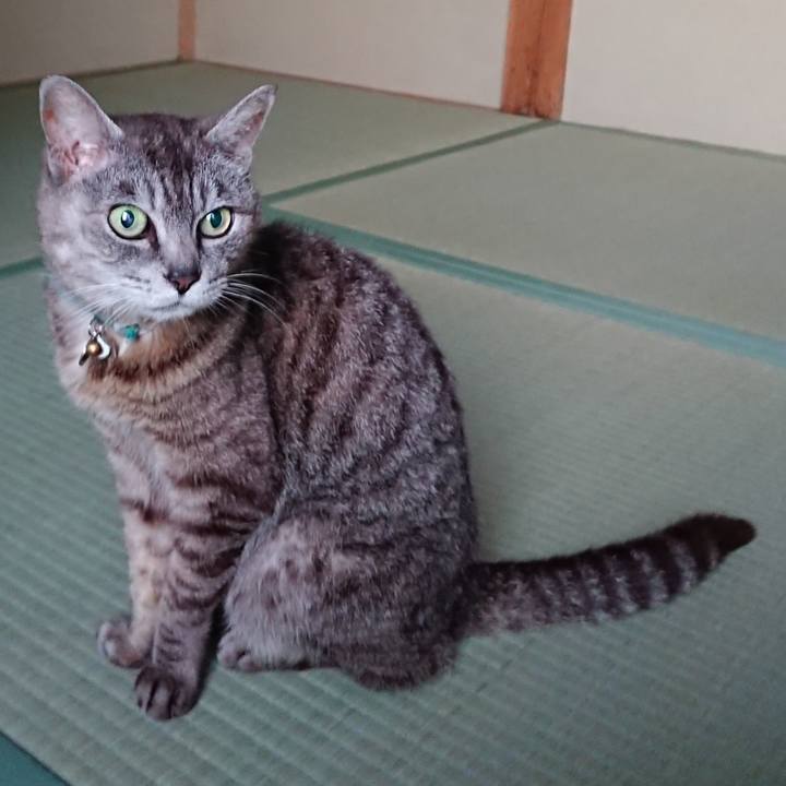 3f3c841d 052c 4144 986e 40ba60c82297 1565121491579