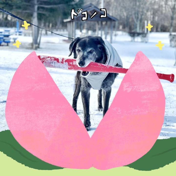 3f3c87a4 f58f 4e94 899f 298e74d82127 1771848451591