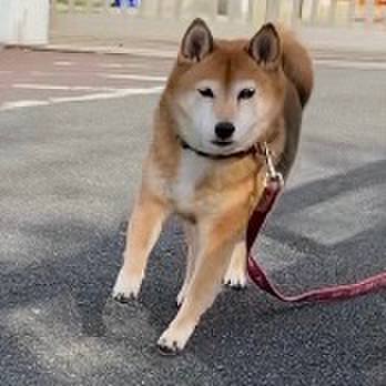 3f3c8cb6 69a4 4337 b8b4 c5e7a4d1f181 1638160806223