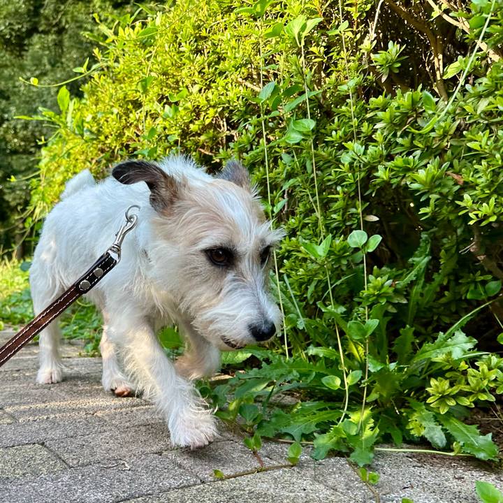 3f3ccd35 5240 4556 9ec1 4151fb043927 1759497229231