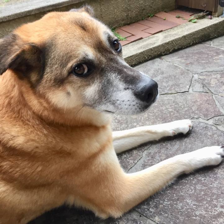 3f3ce17e 54ea 486a babc e67a97eb1493 1535795374678