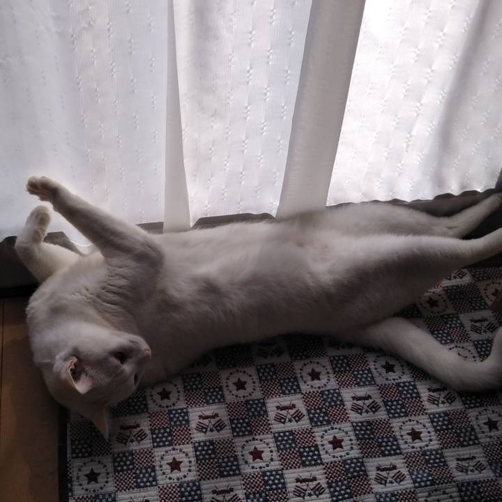 3f3cf6a5 c42f 4e6d b9de 3893ec91d89e 1583469048249