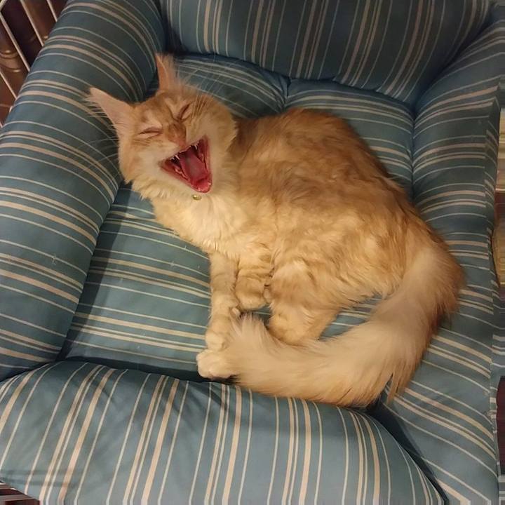 3f3d0581 a98f 4a65 a3c2 192b91ac03d7 1610701964435