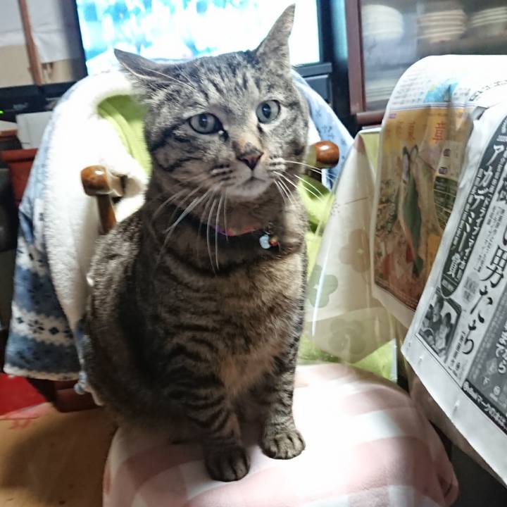 3f3d1479 2696 4b1d 82e4 da63534e7f58 1648760896425