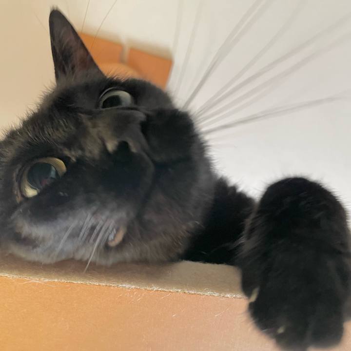 3f3d2070 267f 4312 8e6f 3da27f18113b 1654346223431