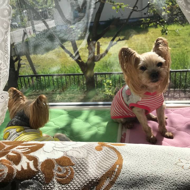 3f3d2afa f841 48d9 9401 f638aa8aeaee 1630404066288