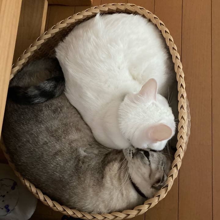 3f3d33dd 2463 49ca b3d4 31dd199a434b 1636432830168