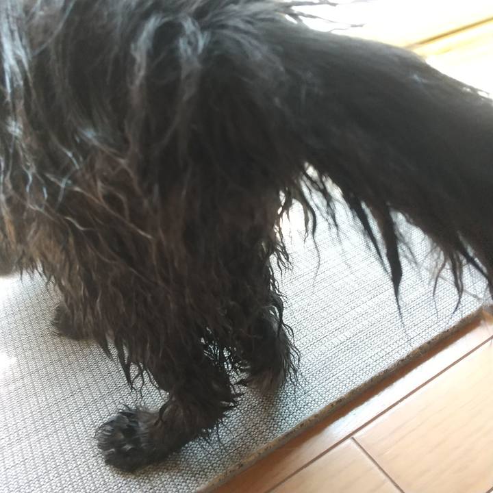 3f3d34cb d8a7 40e8 9e05 63ccb10285c3 1626490750639