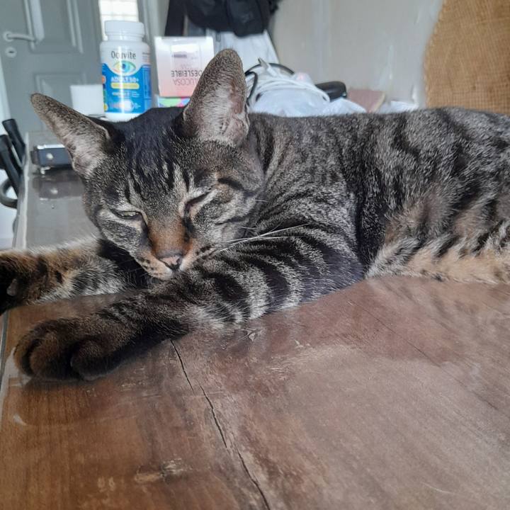 3f3d3fdb aec4 4d02 972c e28fed87dfe5 1769649886855