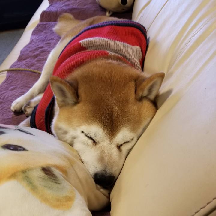 3f3d41fa 58c2 48b2 9810 9f0c79aa0a60 1606210851023