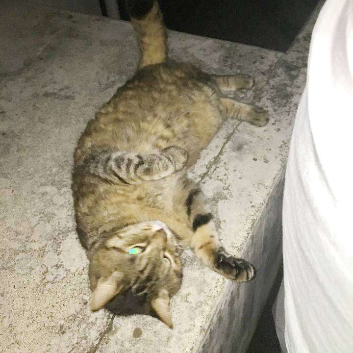 3f3d6319 e456 43ac b05d ed8bc8dfd474 1590585575690