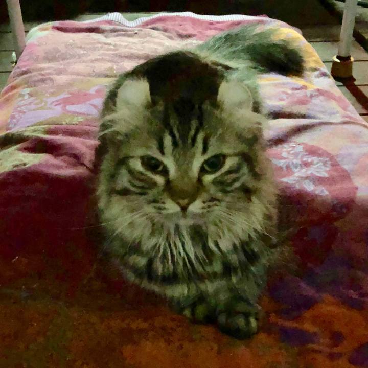 3f3d7e6d fb26 4054 a84f 63ef177d8bb9 1597316390981