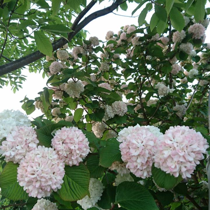 3f3dc999 eb02 49a7 a97f 3d1e3ad4c0a4 1524131465963