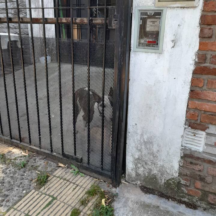 3f3dd6e7 17f6 48f5 9a6e 307355759bc4 1773106641828