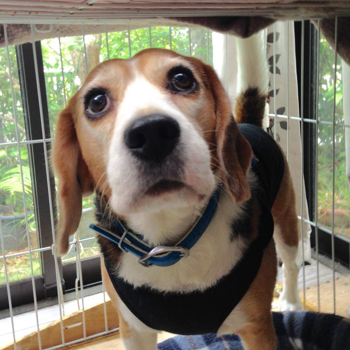 3f3e1547 9860 46c0 ac8b 6fd6985f7ef8 1750305444051