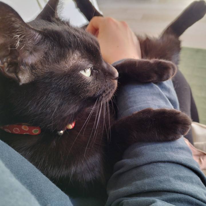 3f3e61db dcdc 4a10 8049 46dc6c436b6b 1646525541206