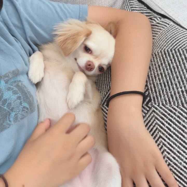 3f3e6624 e8a0 4350 a772 ff6fa1794abf 1690108438916