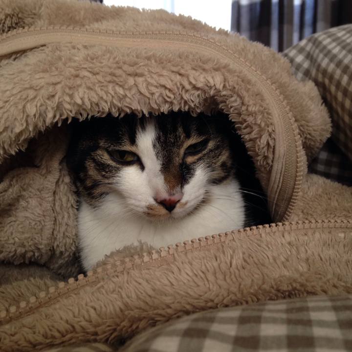 3f3e7e46 be14 4ca8 8a43 81dd33015f91 1510820752121