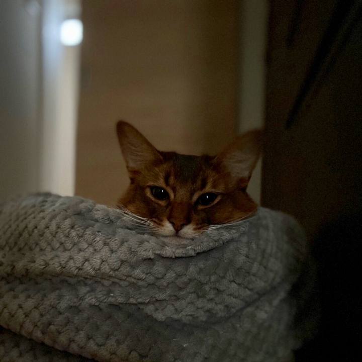 3f3e912a a198 4132 8336 99b7a4979b19 1635545742719