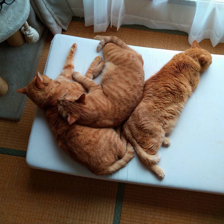 3f3ea0ab 1c6f 43d8 a069 db81ae1d793d 1627453678648