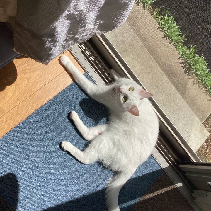 3f3eada7 0b1d 4de9 9f1c 52f72e1166e1 1681777823491