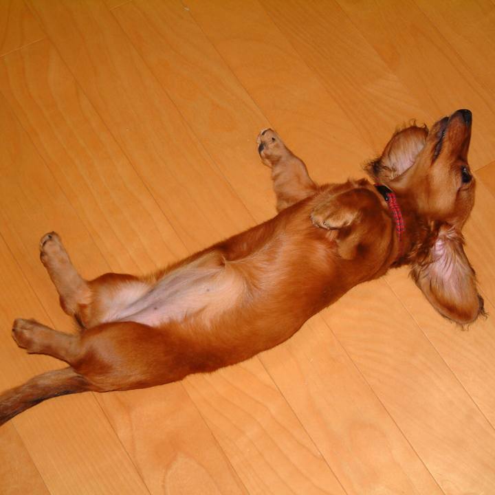 3f3ede77 c604 46a5 9b47 07762914d1cd 1527012330992