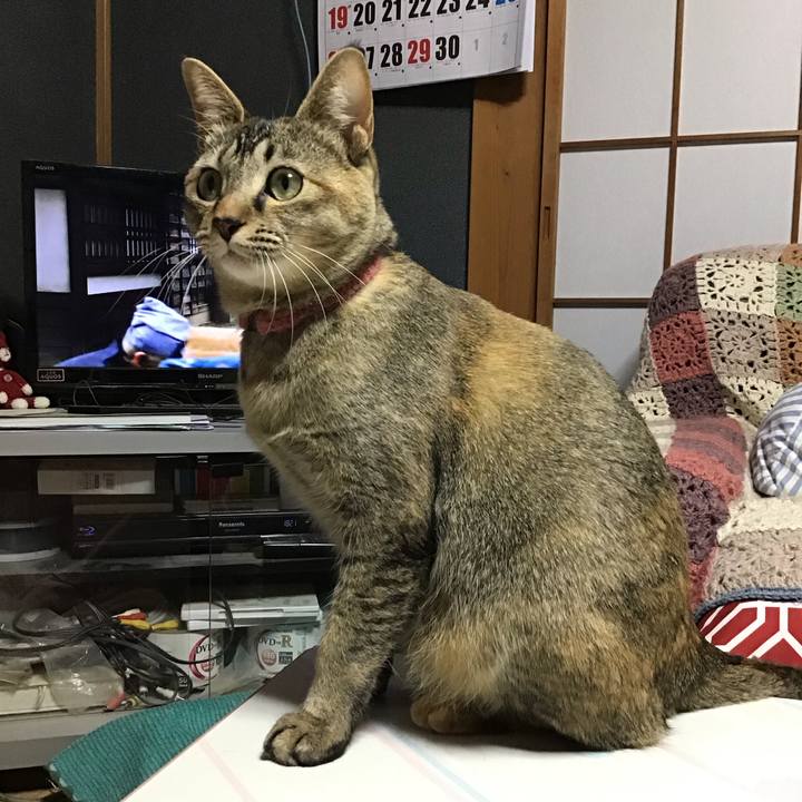 3f3ef281 59c5 4043 9909 c1f2c2c5b68f 1586599939169