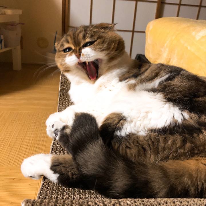 3f3ef731 f77d 4654 95c6 e6d130b9db0e 1547477099075