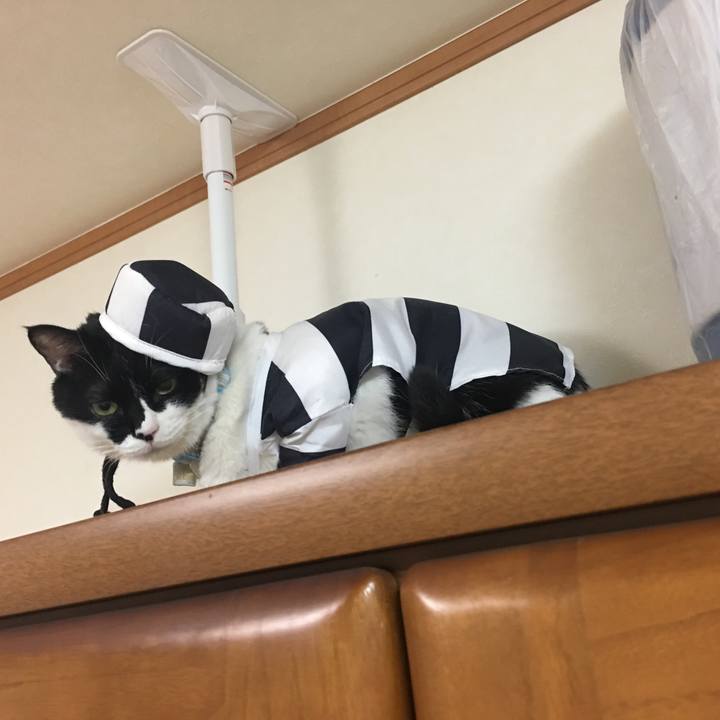 3f3f00c1 ac14 4ad7 8236 f72e97111692 1518522614548