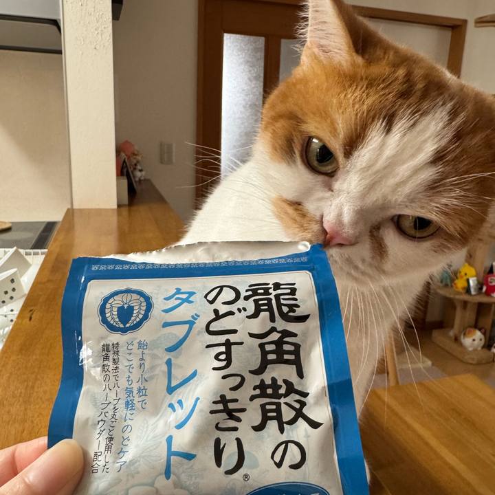 3f3f28f8 c673 4a2c 89d5 a58ffb0ce1f9 1761878051475