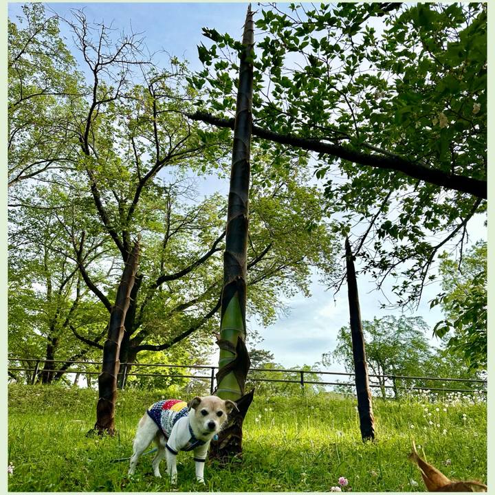 3f3f4edf 2aae 489f 8b8c 87461cac3ae1 1714298416975