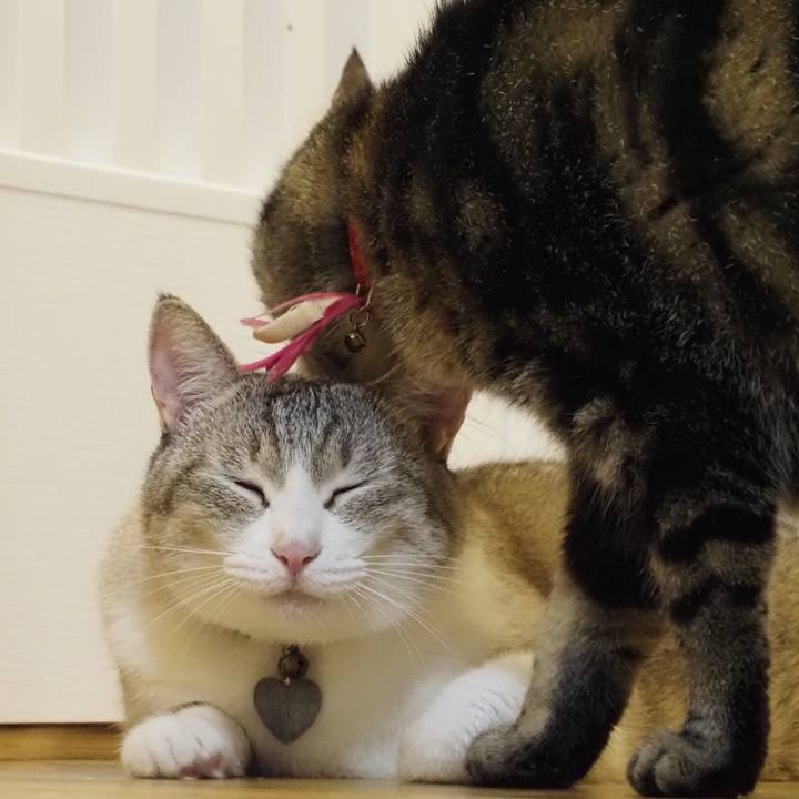 3f3f536b 30d4 49a0 8946 a1cc4d9b4190 1625627638932