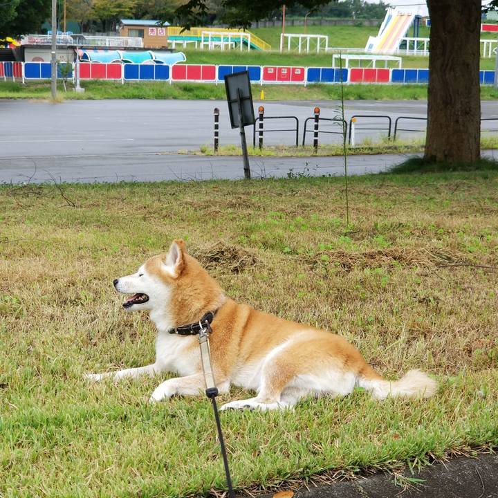 3f3f7af7 a582 49f7 bbd1 8eea06743566 1662612370332