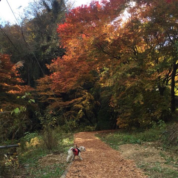 3f3fb459 2fdb 4e3f a779 d3b2f9714880 1511263095819