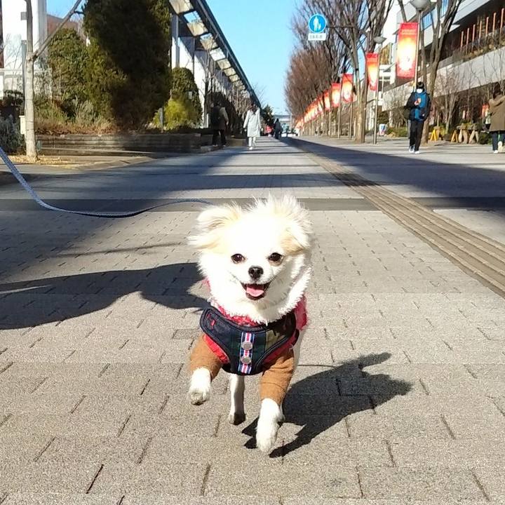 3f400106 6f53 4a55 8beb 3f9976806cf9 1641204936272