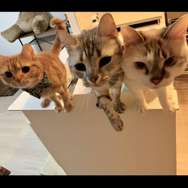 3f401fa7 57da 4708 907b 2929620bb308 1569126705481