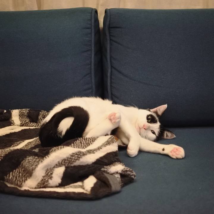 3f4058bc 17e0 41d7 be27 5819c266e541 1539875926277