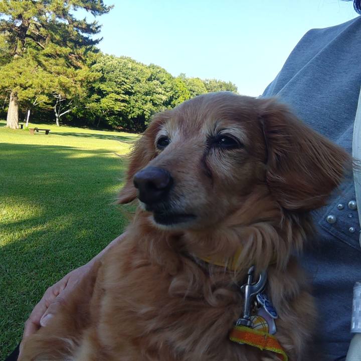 3f4085b8 21bf 4658 9b30 9502b98530bf 1716975958806