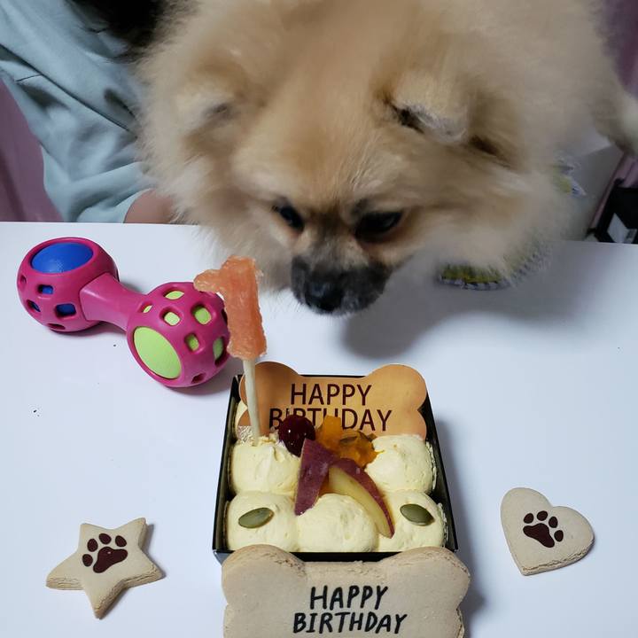 3f40ab45 c457 4f9a ab8e c9464cd7c87d 1633528492552