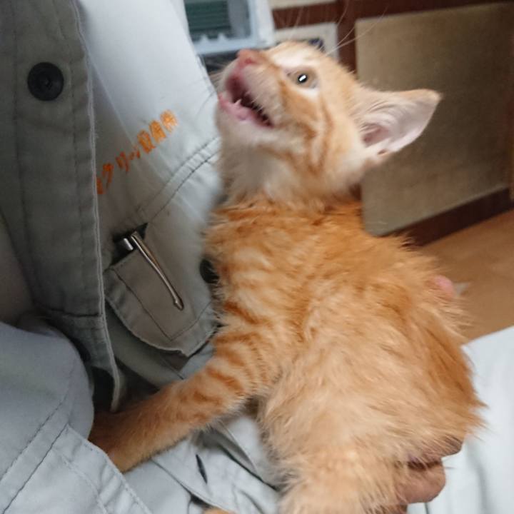 3f40acc5 5bce 4deb b945 f3f121a9ad5f 1627781869221