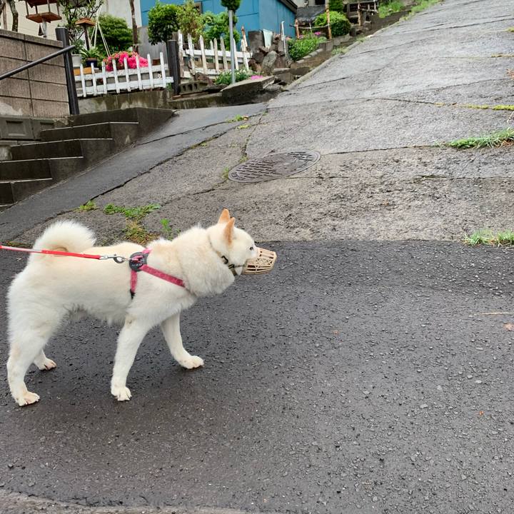 3f40c09c dd58 46f5 8e9b 16eab2fe7793 1591564821368