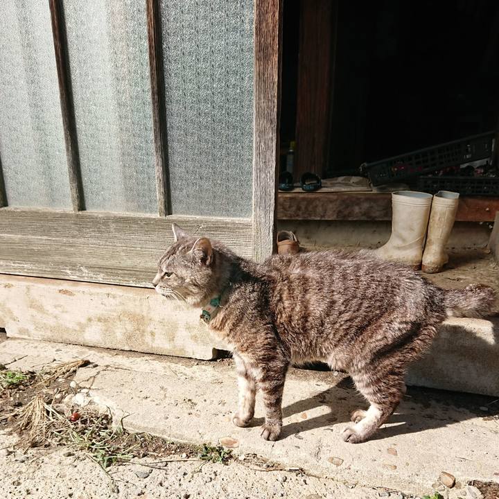 3f40cee5 c853 4e23 bad0 7c543d22cecf 1570940960807