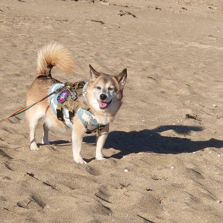 3f41034f e394 42a3 845f 8eeb8e108876 1641109707743