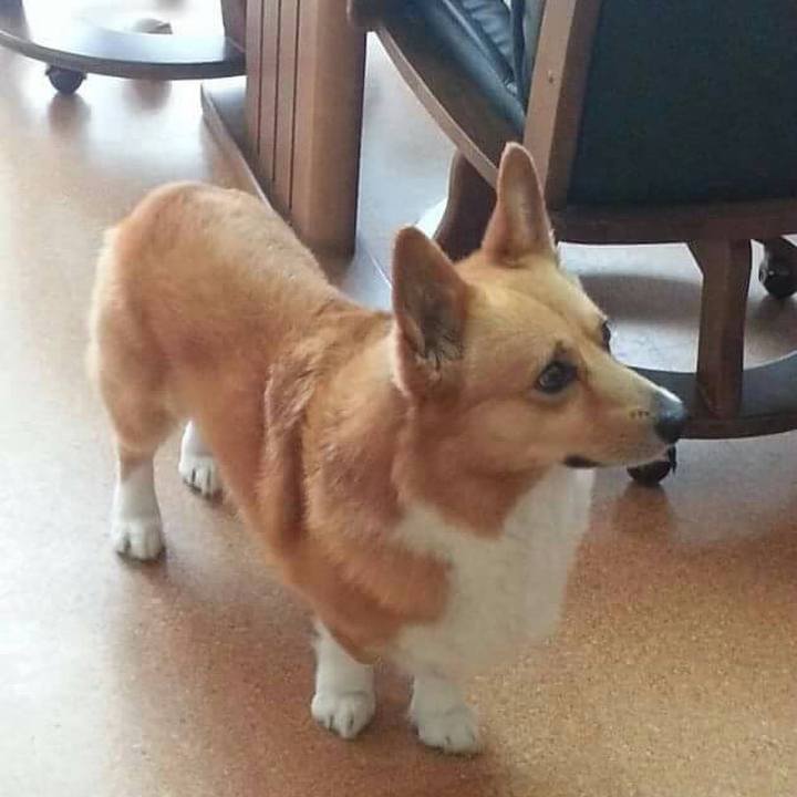 3f41266b 21e4 47c4 87ca de08ec30f9cb 1543501028121