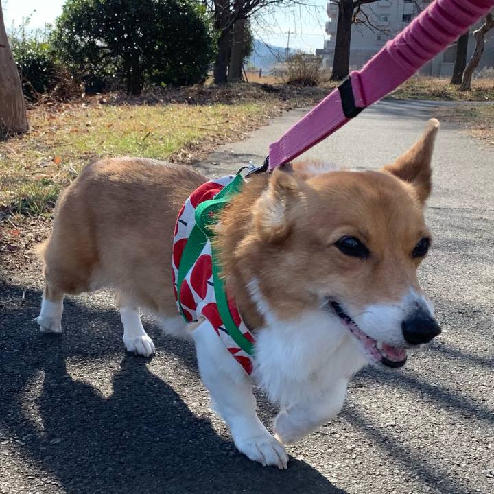 3f415862 3bfb 47c9 a20e 7fec765138aa 1703738970477