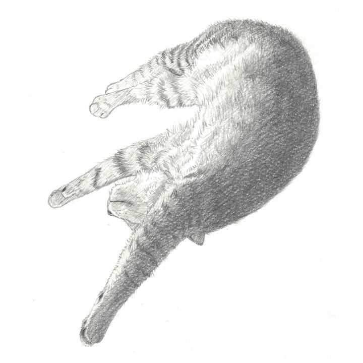 3f41d13c 6732 4737 9966 b53b76572ed9 1544363869519