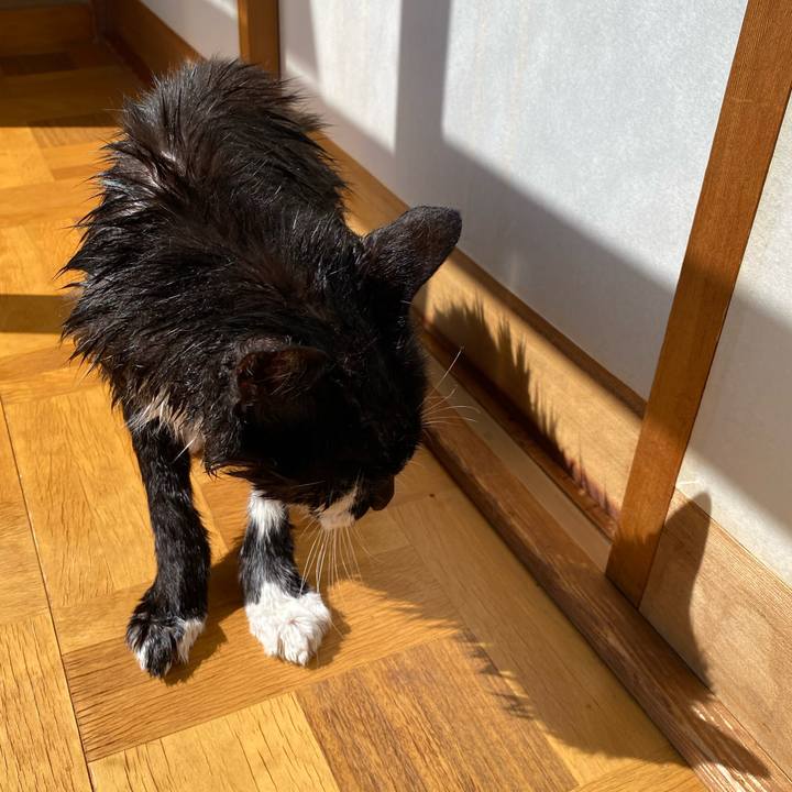 3f41f929 1145 4df0 b4b0 26aee931da65 1759024444030