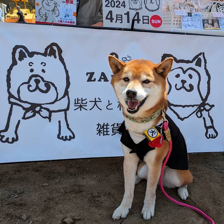 3f424042 dcbd 49ed 80c2 26fbd6ffb3e0 1713190965536